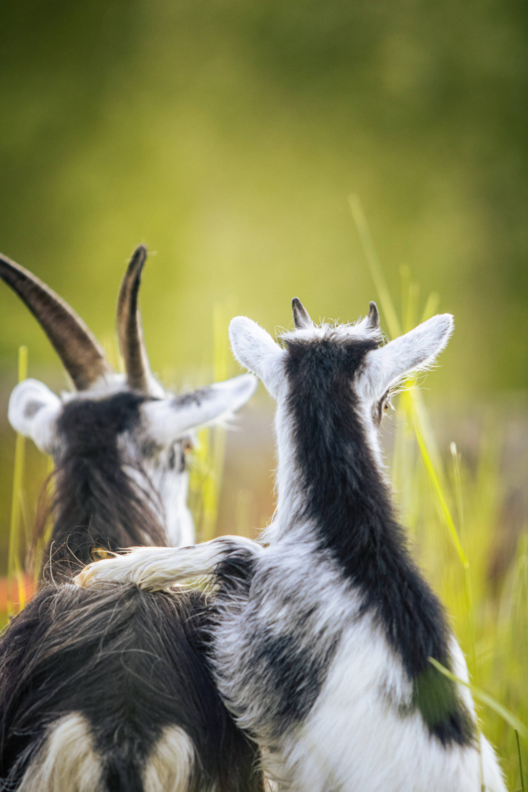  Participer à l’inventaire annuel