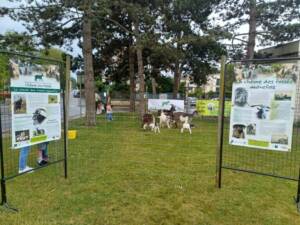 20240615_144013-768x576